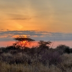 Kenia en Tanzania Kenia en Tanzania