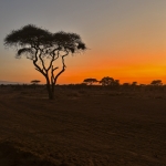 Kenia en Tanzania Kenia en Tanzania