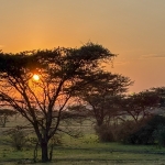 Kenia en Tanzania Kenia en Tanzania