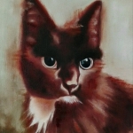 Onze kat Onze kat