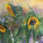 Sunflowers Sunflowers