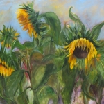 Sunflowers Sunflowers