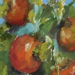 Tomaten Tomaten