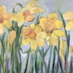 Narcissen Narcissen