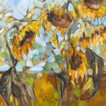 Sunflowers in the field Sunflowers in the field