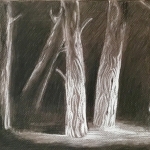 Bomen Bomen