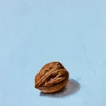 Walnoot Walnoot