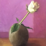 White rose White rose