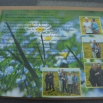 Gerda fotoboek voorkant Gerda fotoboek voorkant
