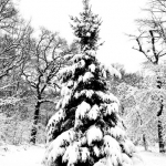 sneeuw op den sneeuw op den