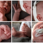 Newborn Newborn