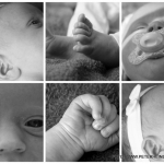 Newborn Newborn