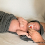Newborn Newborn