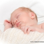 Newborn Newborn