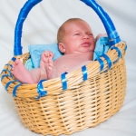 Newborn Newborn