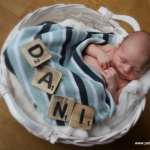 Dani Dani