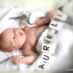 aurelia aurelia