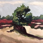 het Baloërveld het Baloërveld