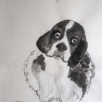 Hond Hond