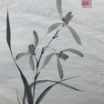 Chinese orchidee Chinese orchidee