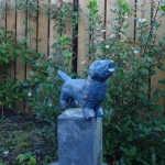 Hondje Hondje