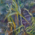 Riet 2 Riet 2