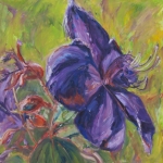 Bloem paars Bloem paars