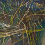 Riet 3 Riet 3