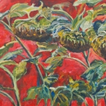 uitgebloeide zonnebloemen uitgebloeide zonnebloemen