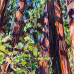 Sequoia Tree Sequoia Tree