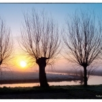 Bomen zonsopgang Bomen zonsopgang