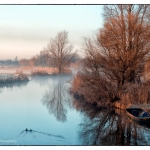 Uitgeest mist Uitgeest mist