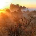 Amsterdamse Waterleidingsduinen Amsterdamse Waterleidingsduinen