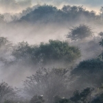 Amsterdamse Waterleidingsduinen Amsterdamse Waterleidingsduinen