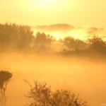 Amsterdamse Waterleidingsduinen Amsterdamse Waterleidingsduinen