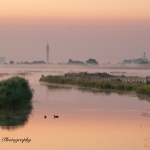 Zonsopkomst Zonsopkomst