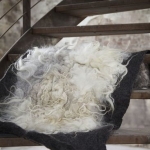 black (verkocht/sold) black (verkocht/sold)