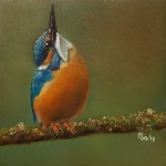 IJsvogel IJsvogel