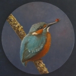 IJsvogel IJsvogel