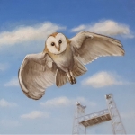 Vrij als een vogel Vrij als een vogel