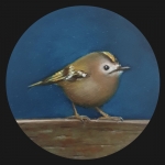 Goudhaantje Goudhaantje
