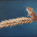 Coornmuis Coornmuis
