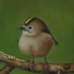 Goudgeel Goudgeel