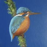 IJsvogeltje IJsvogeltje