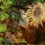 Bloemdecor 2 Bloemdecor 2