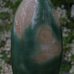 Natuur1 Natuur1