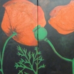 Papavers Papavers