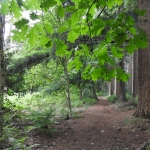 Wandeling Bielderweg Paradijs met video Wandeling Bielderweg Paradijs met video