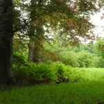 Zo mooi na de regen, licht, kleuren, alles. Zo mooi na de regen, licht, kleuren, alles.