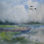 Polder Polder